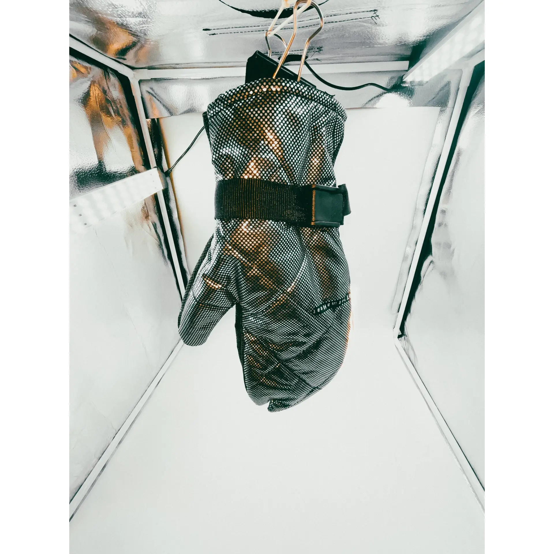 ALEPH 333 / 002 — MITTENS
